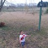 Diego Coronel