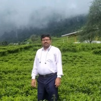 Raj Kumar Pandey