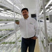 Cristian Pichuante Donoso