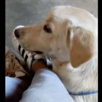 Sebastian Soto Caballero