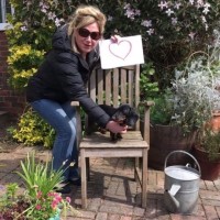 Jo Buckle