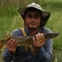 Masoud M