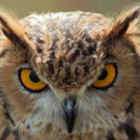 Agustin Roldan Jimenez