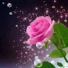 Mone Baksh