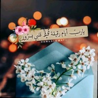 HASSEINE Mohmed Lazhar