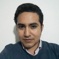 Luis Enrique Gomez Araujo