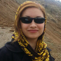 Elmira Salimi