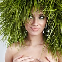 Sharon Rocha