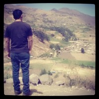 williams flores