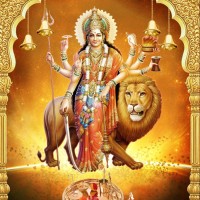 Muniraju N