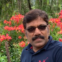 Kader Kottakunnu