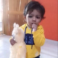 Shive Kumar