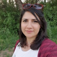 Elif Avcı