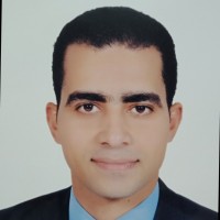 Ahmed Mohamed Abdelhamied Hussien