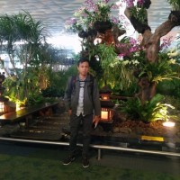 Dedek Hariyadi