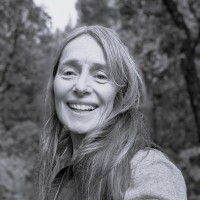 Anne Meier