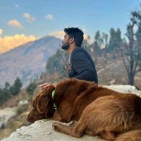 Sachin Sharma