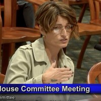 Denise Hoffman, OTD, OTRL, BCP, FMiOTA