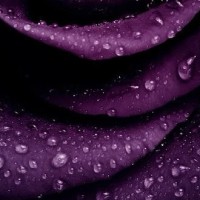 Shakhnoza Muratkhodjaeva