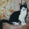 Barbara Silverio