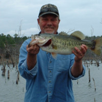 Terry Bryan