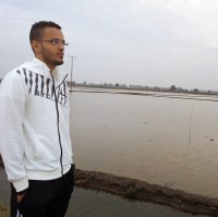 عادل السعيد