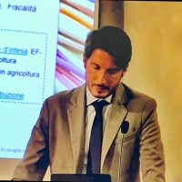 Alessandro Scipioni