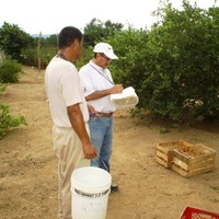 jose rafael corona borbonio