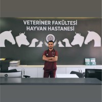 Berk Anıl Özkul
