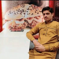 Aamir Anwar