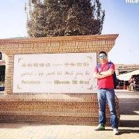 阿迪力