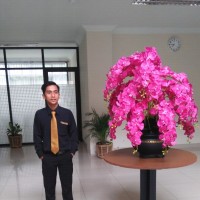 Dede Mustafa Ali