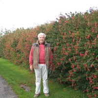 Robin Pomeroy