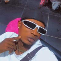 Promolee Style