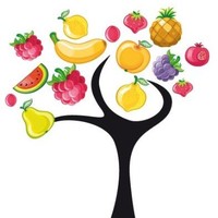 Fruitlosophy - Costumbre de una Vida Sana