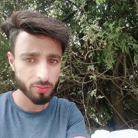 Javid Mir