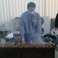 Li Tao
