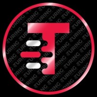 Turing Insights Management