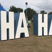 steve haha
