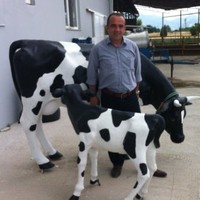 Ahmet Küçükçınar