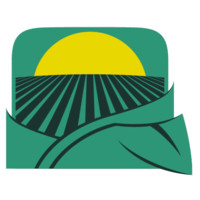 Overview Business Holdings LLC