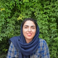 Fatemeh A.