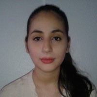 Iris v Meneses v