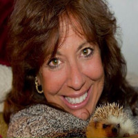 Elaine Tate - Bednarek