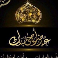 Raed Hmo
