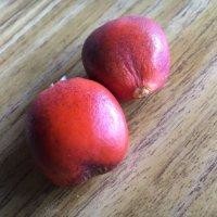 黄俊炎