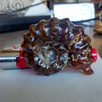 José Moreno del Pozo