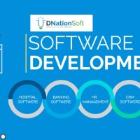 Dnationsoft Web Solution