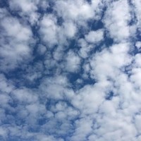 潘泓宇