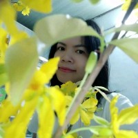Nguyệt Minh